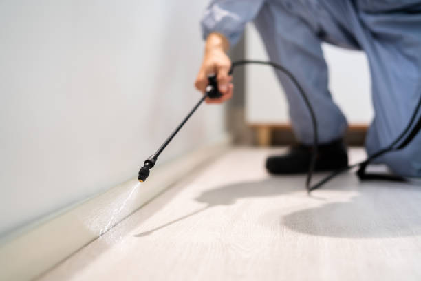 Certified termite inspector examining foundation in Sunrise Beach Village